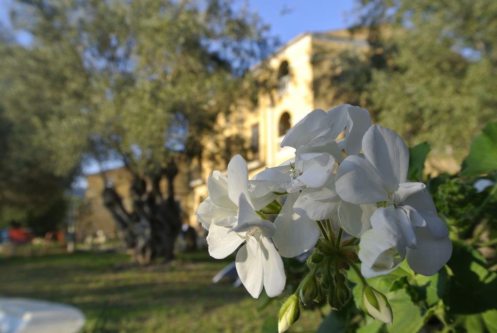 Hostal Maset Del Garraf Olesa de Bonesvalls Exterior foto