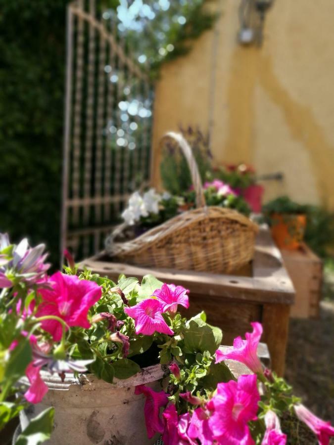 Hostal Maset Del Garraf Olesa de Bonesvalls Exterior foto
